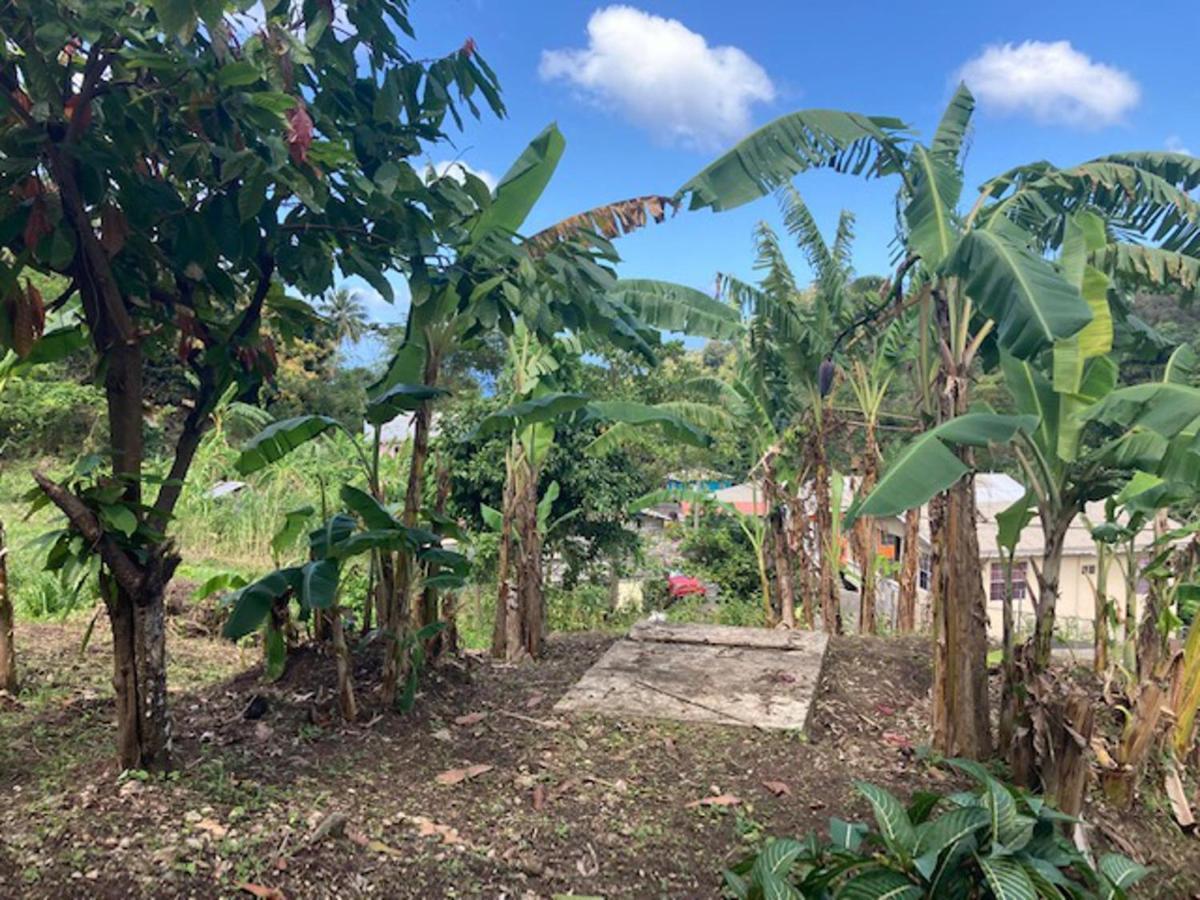 Stunning 2-Bed Apartment In Grand Roy Grenada Mount Nesbit Exterior foto